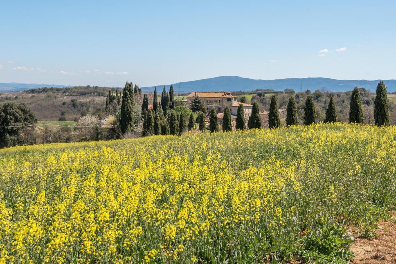 Appartamento Nonno Gino Montegabbro Exterior foto
